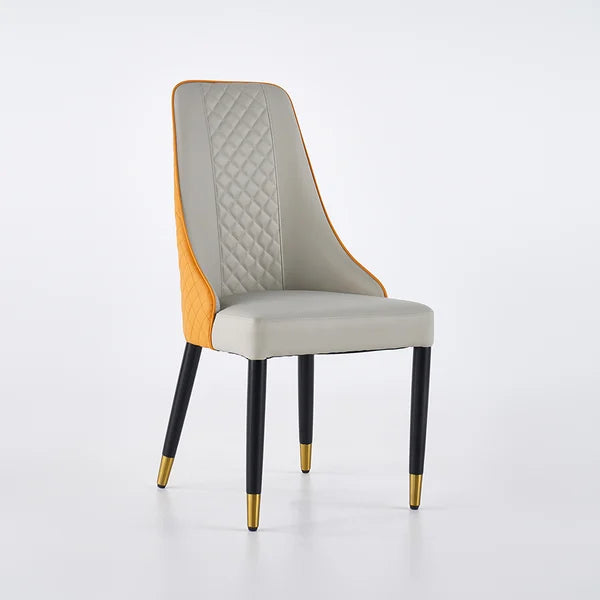 Diamic Modern Chair